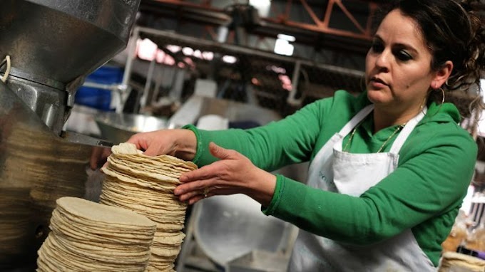 Economía/// Profeco no tolerará aumento injustificado de la tortilla