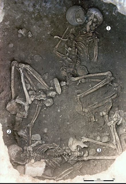 Οι ερευνητές πιστεύουν ότι ο κεντρικός σκελετός στον τάφο (με την ένδειξη 1) ήταν μια ηλικιωμένη γυναίκα που θάφτηκε αφού πέθανε από φυσικά αίτια, και ότι οι δύο άλλοι σκελετοί (με τις ενδείξεις 2 και 3) ήταν νεότερα θύματα θυσίας που δεσμεύτηκαν  με την μέθοδο "incaprettamento". [Credit: Ludes et al., Sci. Adv. 10, eadl3374 (2024)]