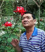 A thing of beauty: Chai admiring one of the many types of roses grown at his centre in Kea Farm, Cameron Highlands recently.