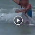 VÍDEO | Niña es atacada por un tibur0n en la playa 