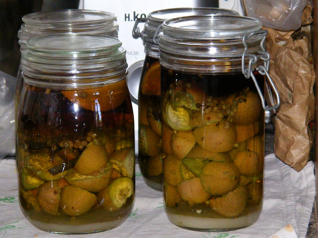 Homemade walnut liqueur on Day 6. Photo by Loire Valley Time Travel.