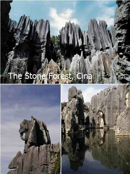 The Stone Forest, Cina