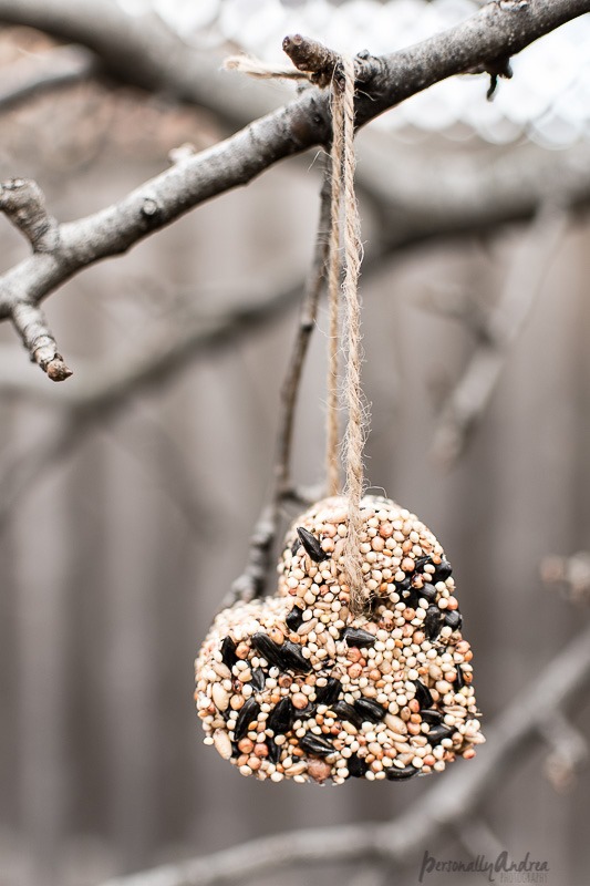 How to make birdseed ornaments | Pretty for gift-giving or attracting birds to your own backyard | personallyandrea.com