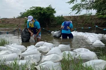 hoyennoticia.com, Cerrejón sembró 220 mil bocachicos en el Ranchería