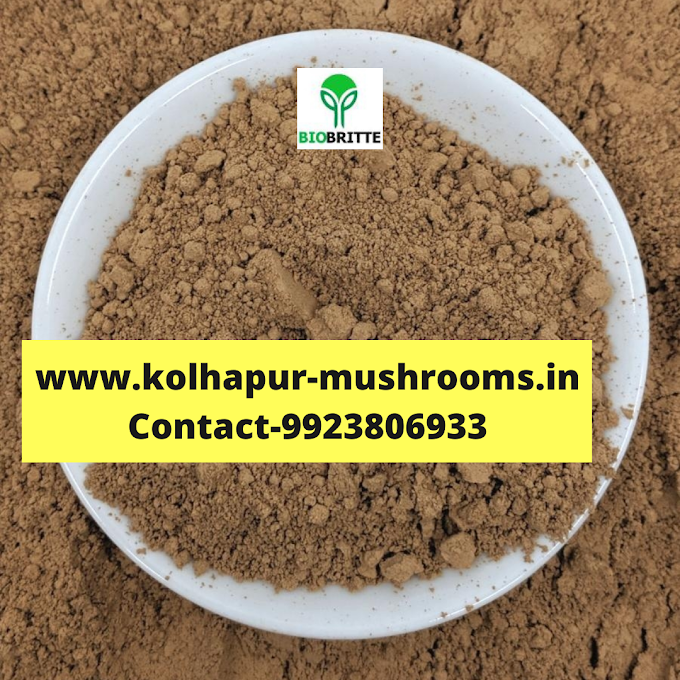 Mushroom powder benefits | biobritte mushrooms | mushroom farming | biobritte cart | organic mushrooms