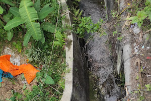 Ribuan Bangkai Ayam Dibuang di Sungai Samping  PT Damatex, Polisi Akan Buru Pelakunya