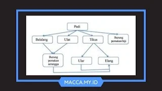 Soal Tematik Kelas 5 Tema 5 Subtema 3 dan Kunci Jawaban