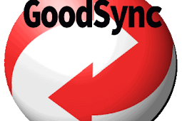 Goodsync Enterprise V10.8.5.5[Copias De Seguridad][Multi][Crack]