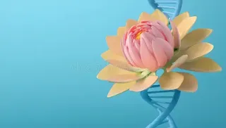 Longevity Secrets