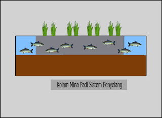 Mengenal Mina Padi Teknik Sistem Penyelang