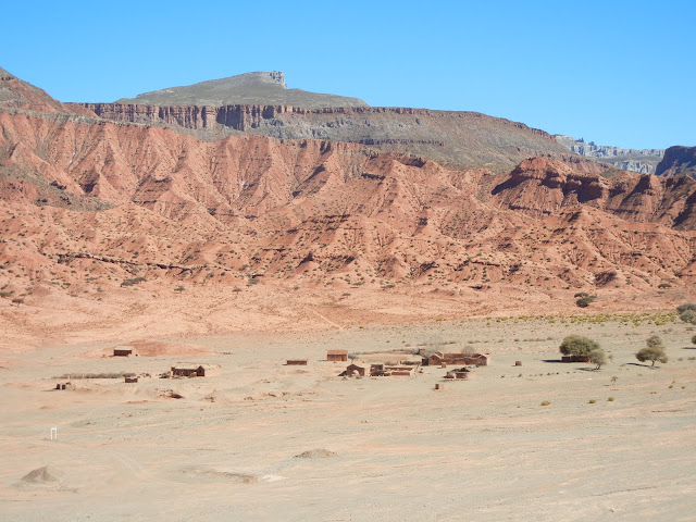 Die Landschaft von Florida ähnelt der Steppe in Afrika