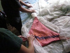 IMG_3973 IMG_3973