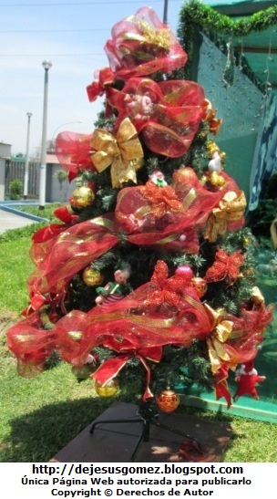 Árbol de Navidad en el ingreso del Hospital Negreiros (Callao - Perú). Foto de Arbol de Navidad de Jesus Gómez