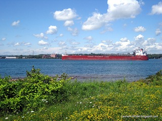 View from our rig