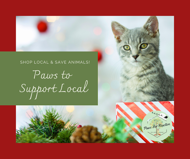 Paws to Support Local Renfrew County OSPCA Christmas fundraiser