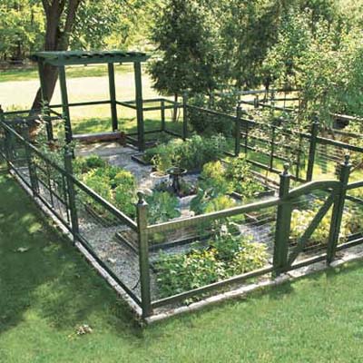 Garden Fence on Laura Vanderbeek  Gorgeous Vegetable Garden Idea