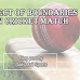 Effect of Boundaries on Cricket Match