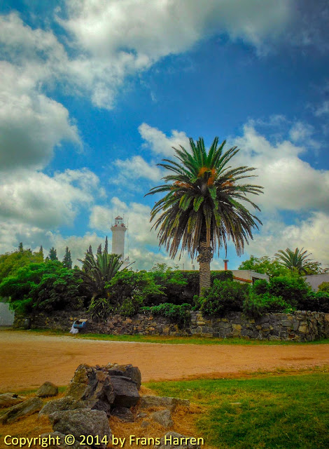 Palm tree and lighthouse in Colonia del Sacramento, Uruguay