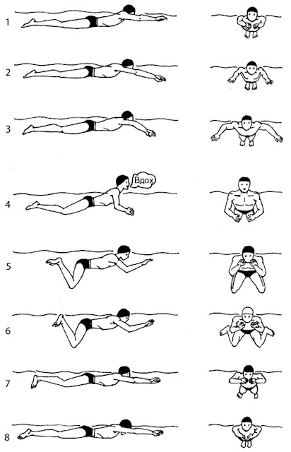 Как правильно плавать брассом