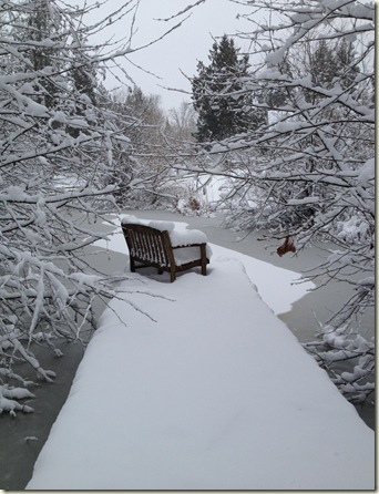 snow on the dock