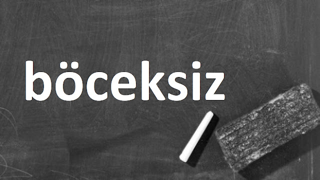 böceksiz