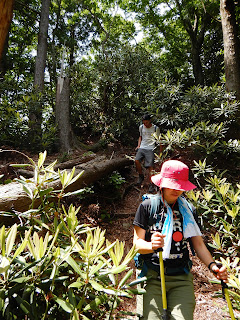 釈迦岳からイン谷口へ戻る山道