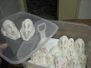 Pack up in air safe containers and bunnies stay fresh for at least a week.
