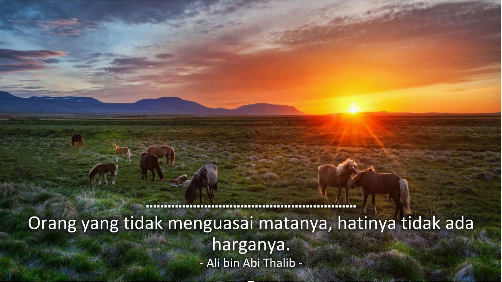 Orang yang tidak menguasai matanya, hatinya tidak ada harganya. (Ali bin Abi Thalib)