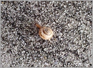 2013-01-11 09.13.07