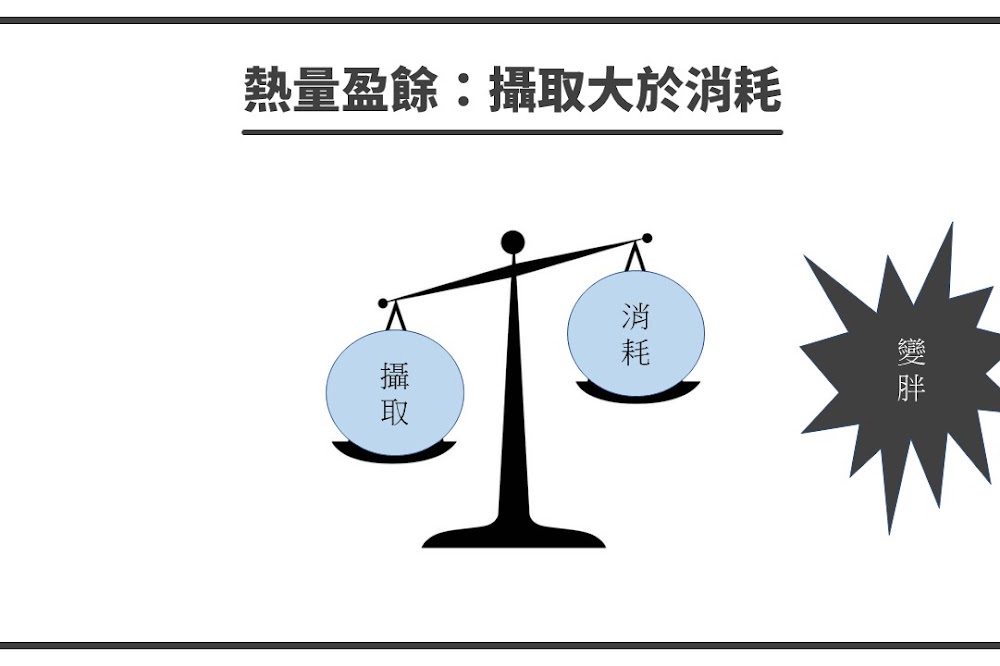 為什麼你瘦不下來？從熱量天平開始看起！