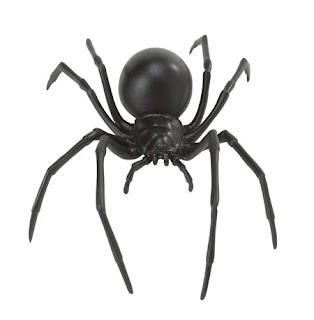 black widow spider web latrodectus fact poisonous animal arachnida wallpaper
