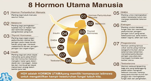 hormon utama manusia, hormon petumbuhan manusia, hormon melatonin, hormon tiroid, hormon insulin, hormon dhea, hormon estrogen, hormon progesteron, hormon testosteron