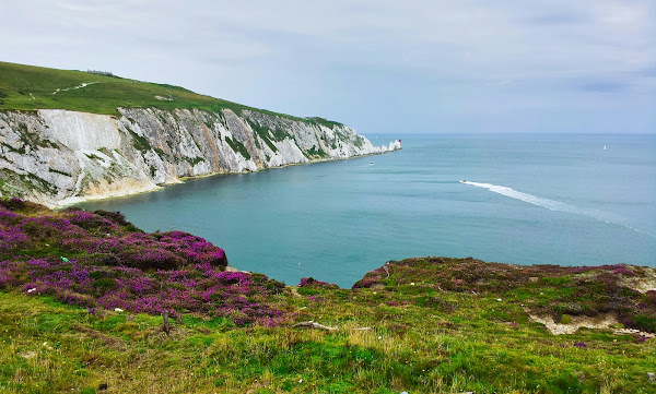 Setting Up a Holiday Let on the Isle of Wight: A Comprehensive Guide
