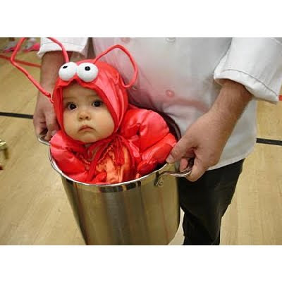 Halloween Costumes  Babys on Cute  Funny And Unique Halloween Costumes For Baby   Speedytown