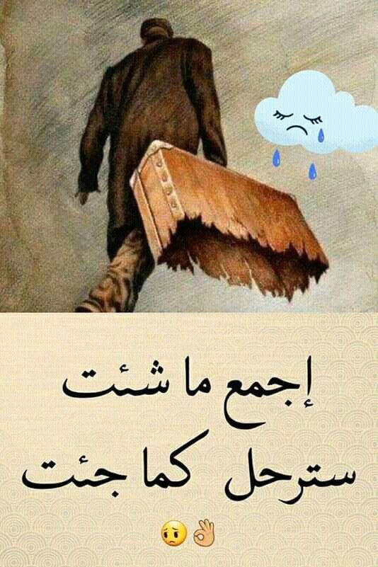 إجمع ما شئت سترحل كما جنت