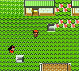 Pokemon Crystal Redesign And World Screenshot 04