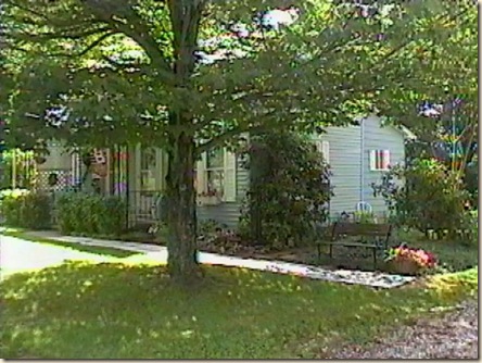 IMAGE040-Lona Stevens-1