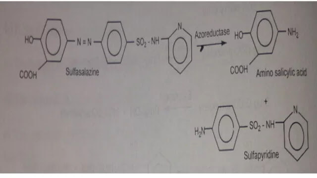 Azo Linkage