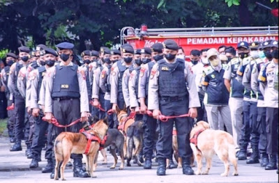 Guna Sterilisasi dan Deteksi Pada Pengamanan Tasyakuran Kaesang - Erina, Polda Jateng Libatkan Anjing Ras K 9 Ditsamapta