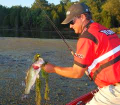 TEKNIK MEMANCING IKAN POPPING