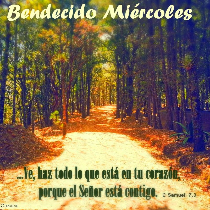 Bendecido Miércoles