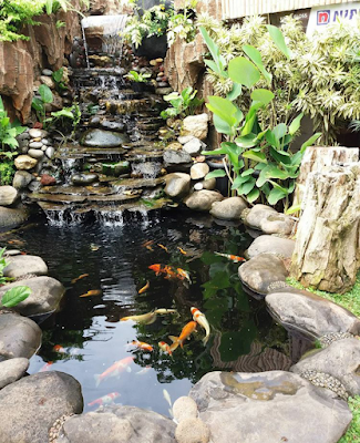 Kolam koi - garden style