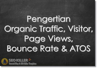 Pengertian Organic Traffic, Visitor, Page Views, Bounce Rate & ATOS