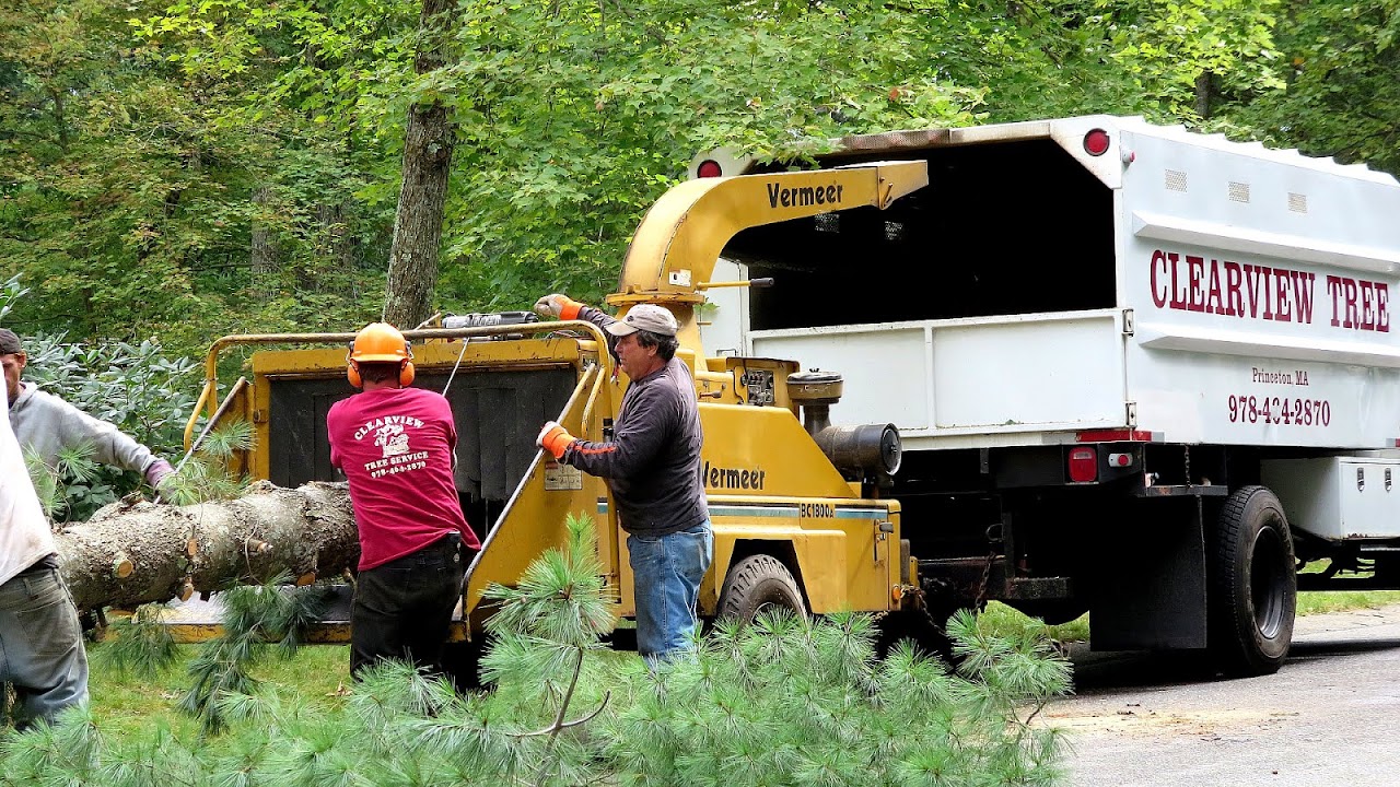 Ma Tree Service