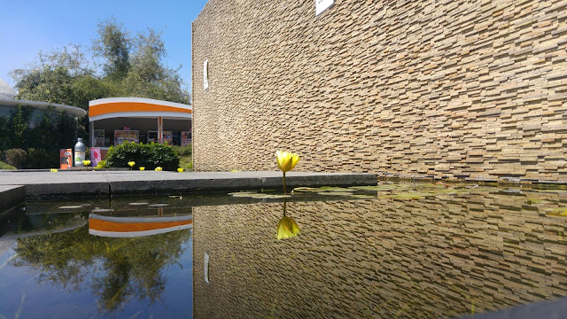 Foto de flor de loto reflejándose sobre un estanque, imagen bastante nítida