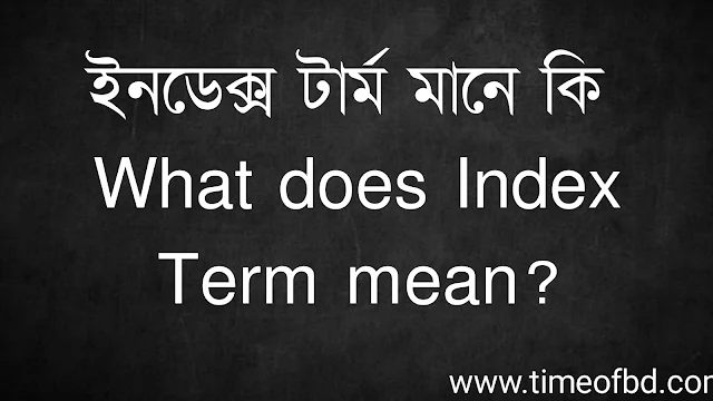 ইনডেক্স টার্ম মানে কি | What does Index Term mean?