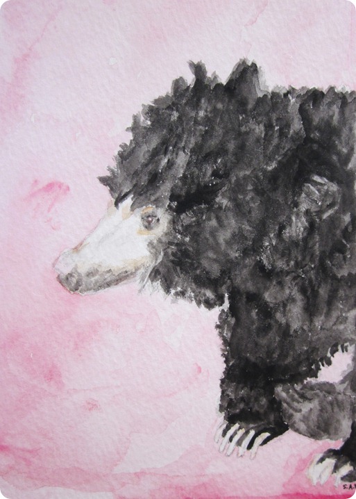 paintings and nature 035