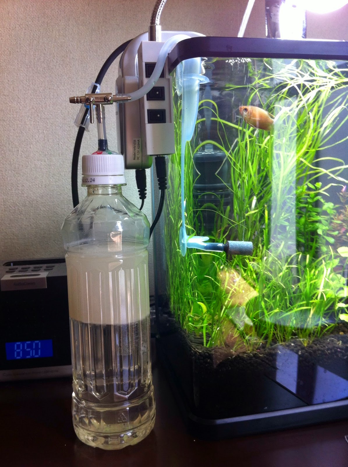 いろいろ飼育にっき 続 発酵式co2添加システムに挑戦 いろいろ飼育にっき 続 発酵式co2添加システムに挑戦