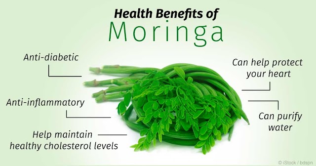 Health Benefits of Moringa Seeds