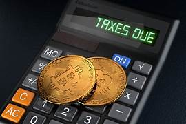 Explore Tax-Efficient Investments